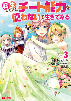 転生したけどチート能力を使わないで生きてみる(コミック) 3巻
