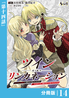 ツインリンカネーション 【分冊版】 14巻