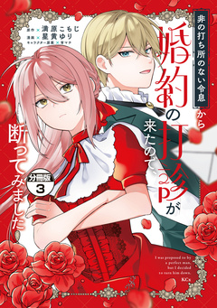 非の打ち所のない令息から婚約の打診が来たので、断ってみました 分冊版 3巻