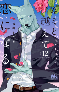 キミと越えて恋になる 単行本版 12巻
