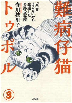 難病仔猫トゥポル「余命3カ月」から生還した奇跡の記録(分冊版) 3巻