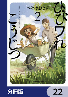 ひびワれこうじつ【分冊版】 22巻
