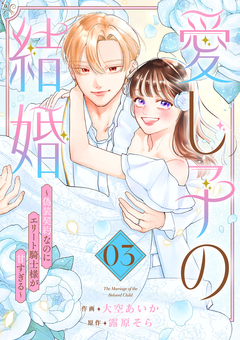 愛し子の結婚~偽装契約なのにエリート騎士様が甘すぎる~【電子単行本版/特典おまけ付き】 3巻