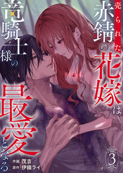 売られた赤錆の花嫁は竜騎士様の最愛となる【電子単行本版/特典おまけ付き】 3巻