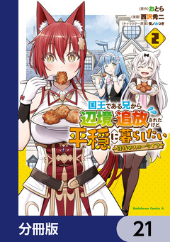 国王である兄から辺境に追放されたけど平穏に暮らしたい ~目指せスローライフ~【分冊版】 21巻