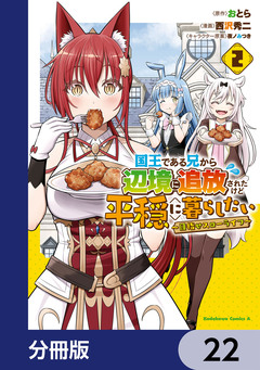 国王である兄から辺境に追放されたけど平穏に暮らしたい ~目指せスローライフ~【分冊版】 22巻