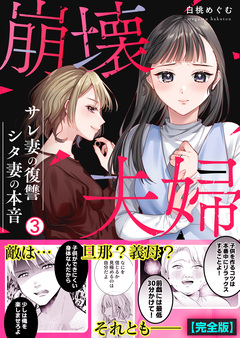 崩壊夫婦~サレ妻の復讐・シタ妻の本音【完全版】 3巻